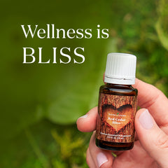Red Cedar Bliss™ essential oil blend