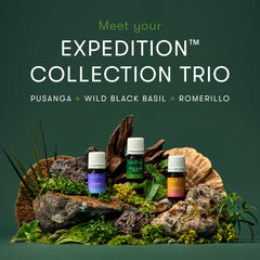 Expedition Collection