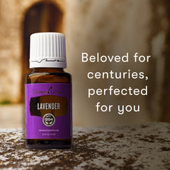 Lavender Essential Oil