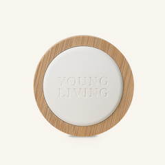 Mini Travel Passive Diffuser