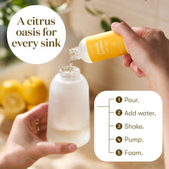 Fresh Lemon Foaming Hand Soap Concentrate Collection