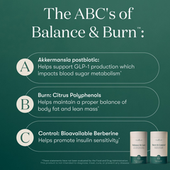 Balance & Burn™ System