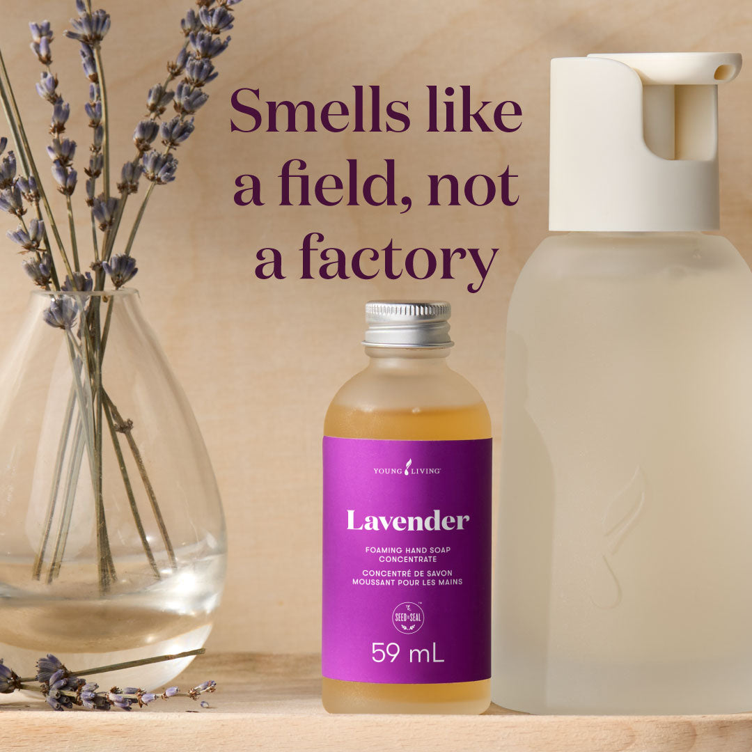 Lavender Foaming Hand Soap Concentrate Collection