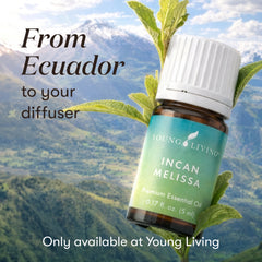 Incan Melissa Essential Oil
