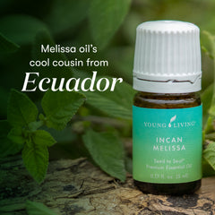 Incan Melissa Essential Oil